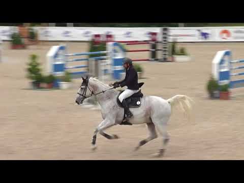 Sledujte ČSP Velkou cenu Hořovic a FINÁLE ČSP 2017 ŽIVĚ