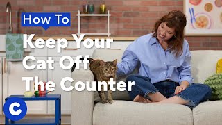 How To Keep Cats Off Countertops | Chewtorials