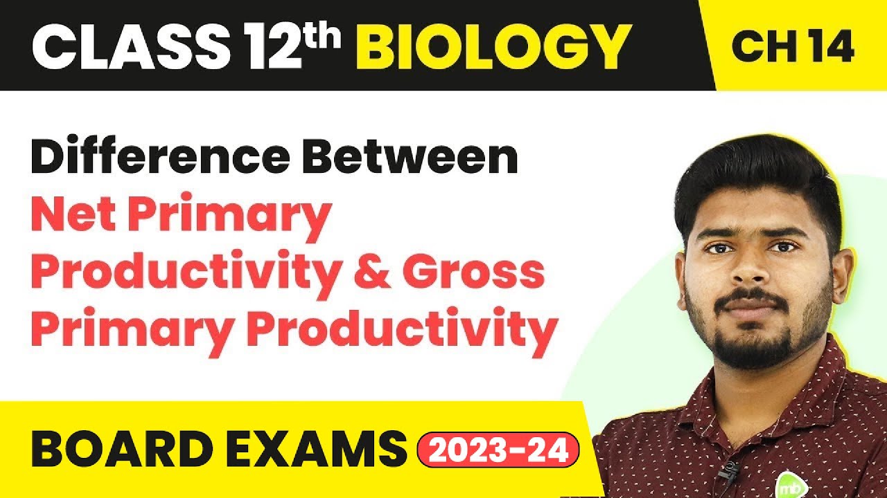 Difference Between Net Primary Productivity and Gross Primary Productivity | Class 12 Bio NCERT/NEET