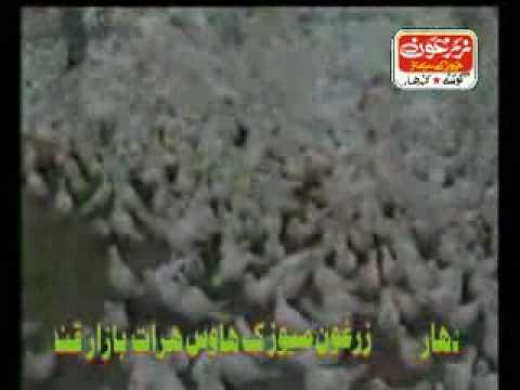 Abdul Khaliq Aziz, Speeni Koftari.flv