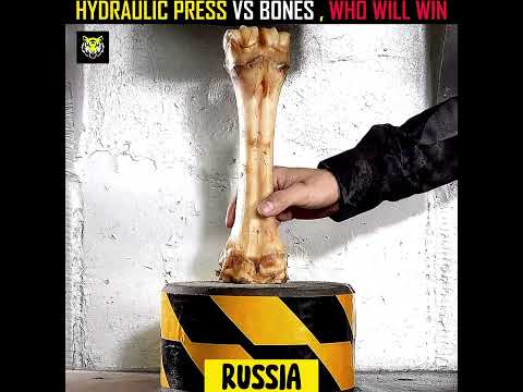 HYDRAULIC PRESS VS STRONGEST HUMAN BONES 🤯 WHO WILL WIN 💥 #shorts #usa #shortfeed