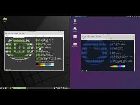 Linux Mint 20 XFCE VS Xubuntu 20.10: RAM Usage