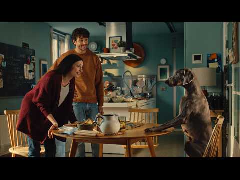 vai su segugio anche per luce e gas: debutta il nuovo spot tv