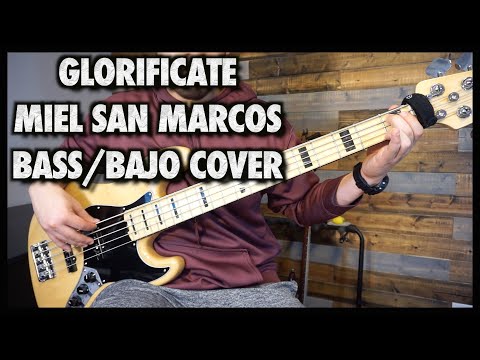 Glorificate || Miel San Marcos || Bajo/Bass Tutorial