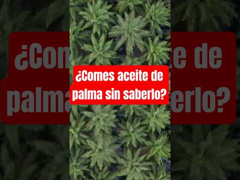 🍪🥐 Está en galletas, bollería, pizzas, potitos…