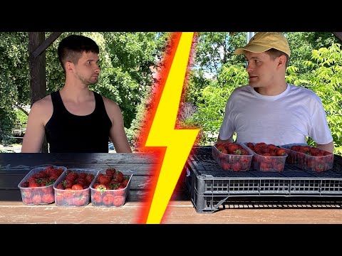 PIGIAUSIOS BRAŠKĖS !