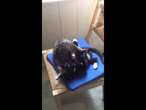 Amy limpia a Mia y Mia limpia a Amy