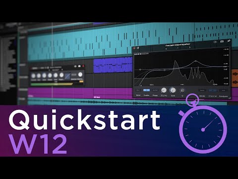 Waveform 12 Quickstart Guide | Free & Pro