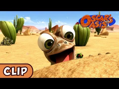 Oscar's Oasis - DECEMBER COMPILATION [ 20 MINUTES ]