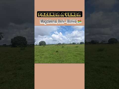 Fazenda a venda Magdalena no Beni Bolívia 🇧🇴