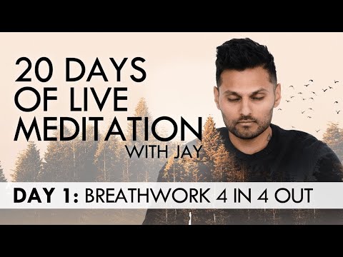 20 Days of Live Meditation with Jay Shetty: Day 1