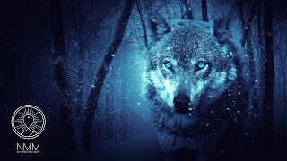 Native American Flute Music: &quot;Wolf Instinct&quot;, Meditation Music for Shamanic Astral Projection 41804N