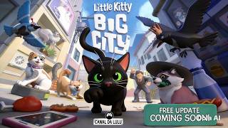 SAUDADE DO FOFUCHO... Little kitty big city
