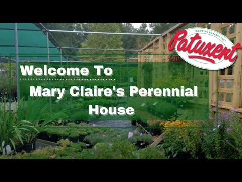 Patuxent Nursery | Welcome to Mary Claire's Perennial House