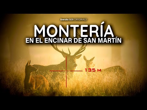💥 Big game hunt for deer and wild boar in Encinar de San Martín | Driven hunt in Spain