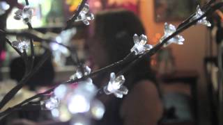 Beth Nielsen Chapman - The SimpleThings