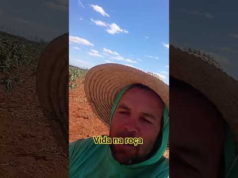fazenda Diniz besouro de são Gabriel ba
