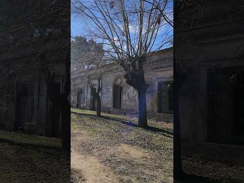 Campo y Casas Antiguas en Altamirano Partido de Coronel Brandsen Buenos Aires Argentina