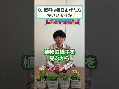 観葉植物にいつ肥料を与えるべきか 自家製天然肥料のアイデア