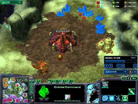 Hunter (Z) vs Wolf (T) - STARBOW!!!