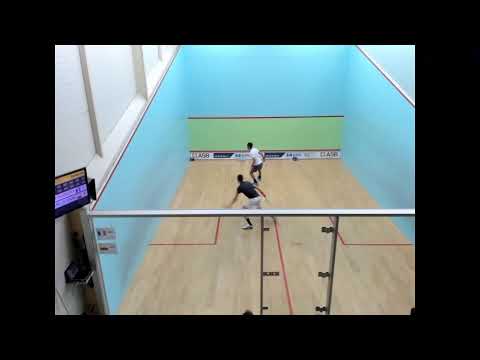 PSA Niort Venise Verte