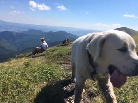 Hike at the Ukrainian Carpathians. Lviv travel