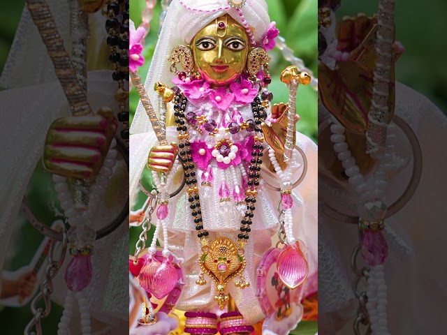 હરિકૃષ્ણ મહારાજ