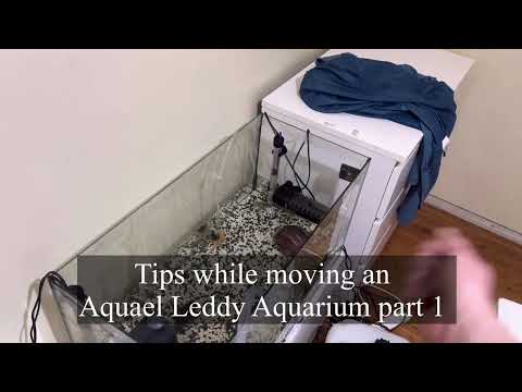 Tips while moving an Aquael Leddy Aquarium part 1 