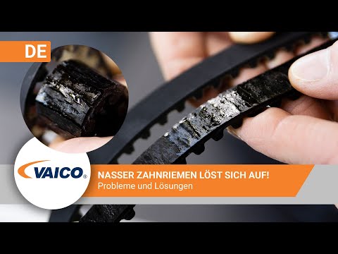 Wet timing belt 1.2 PureTech | Peugeot, Citroen | Timing belt coming apart | V22-0887