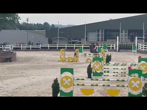 BLIKSEM (Chin Chin x Heartbreaker)