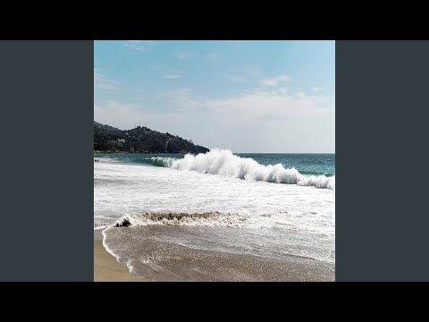 Video thumbnail for Noam