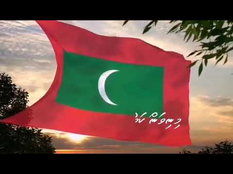 Minivan kamun alhuvethi kamah dhaananhey? Nudhaanamey.. 🇲🇻