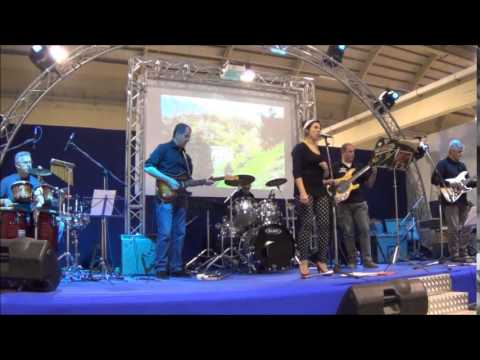 Hound Dog - Socks in the River - Fiera S.Giuseppe-Casale Monferrato