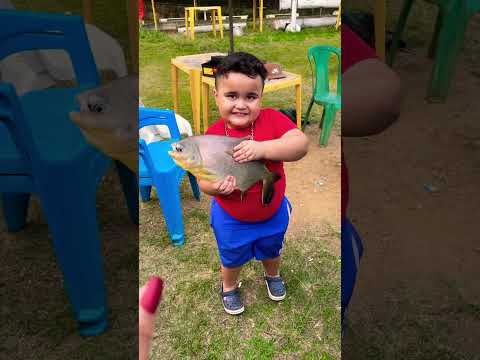 Um peixe para o aquário 😅🤪🥲😜 #funny #funnyvideos #osmacarocasfamily #comedy #short