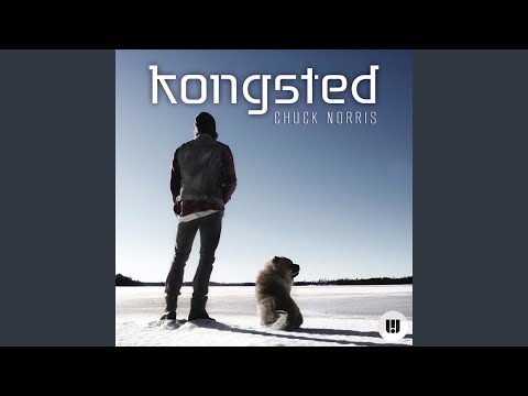 Chuck Norris (Radio Edit)