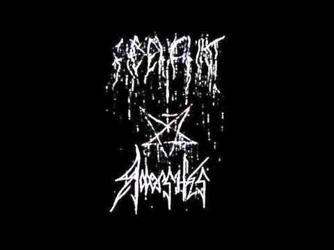 Aiqehahirit -  Accersitus split