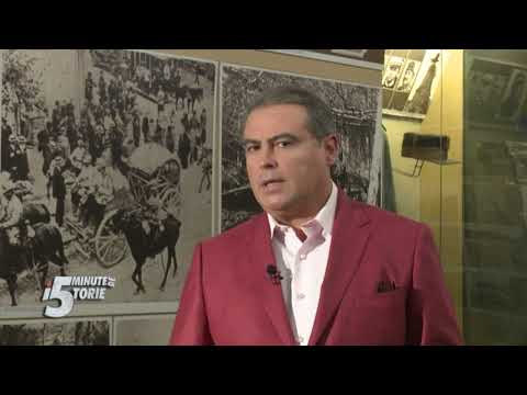 5 minute de istorie cu Adrian Cioroianu: Cum a intrat România în Primul Război Mondial (Arhiva TVR)