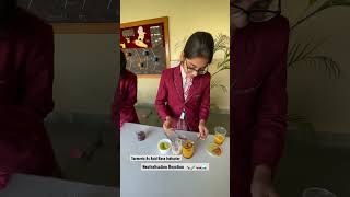 Natural Acid Base Indicator Activity Turmeric | Neutralisation reactio