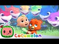 Baby Shark Color Song CoComelon Animal Time Animals For Kids