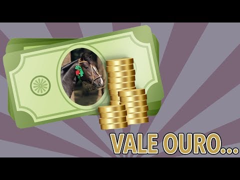 Vendramin Millionaire, the BET that WORKED!