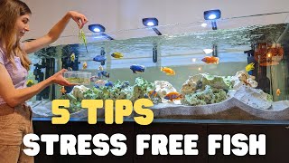 5 Tips for an Easy and Low Maintenance Aquarium Setup