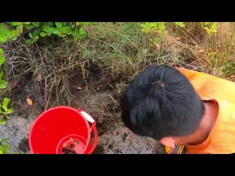 Giant King Crab Catch and Cook At the Beach - Giant Sea Crab Cooking with Big Wave