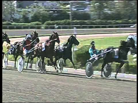 trotto 02/05/2015 - 4° corsa