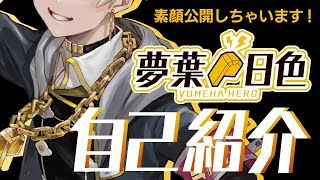 【自己紹介】新人VTuber 夢葉日色です！よろしくです！