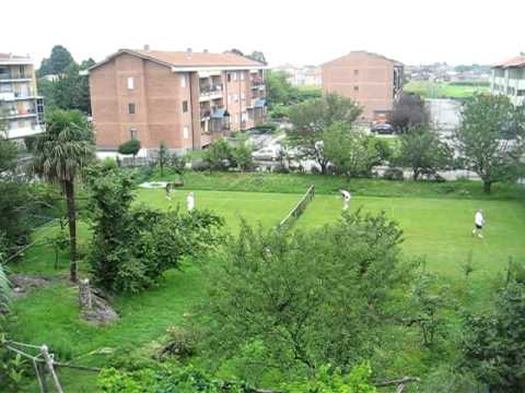 Campo da tennis in erba naturale C