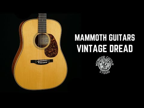 Mammoth Guitars (Dana Bourgeois) Vintage Dreadnought - 1995 image 21