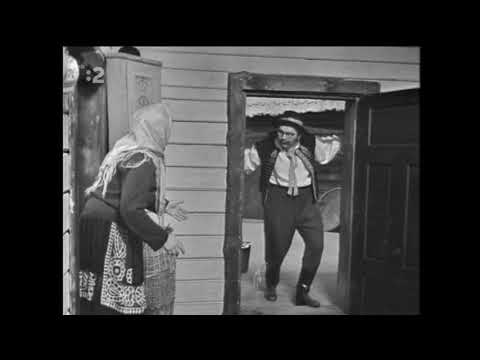 Šibi-ryby, mastné ryby 1971