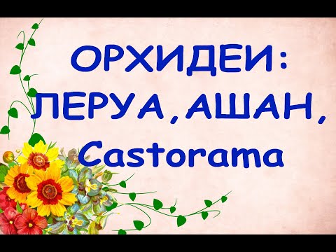 ОРХИДЕИ в Castorama,ЛЕРУА,Ашане:ВСЁ,что БЫЛО 8 января Утром, тц"Мега". Катя,спасибо за видео!!! :))