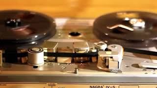 Ezginin Günlüğü - Ebruli