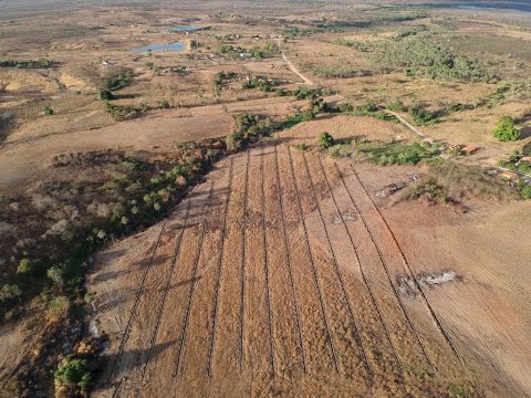 Implantação de Sistema de Irrigação por Aspersão